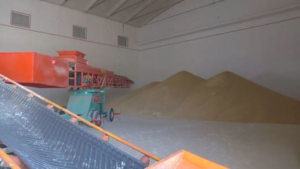 洋浦国际粮油物流加工产业园加快建设，赋能粮食加工产业升级