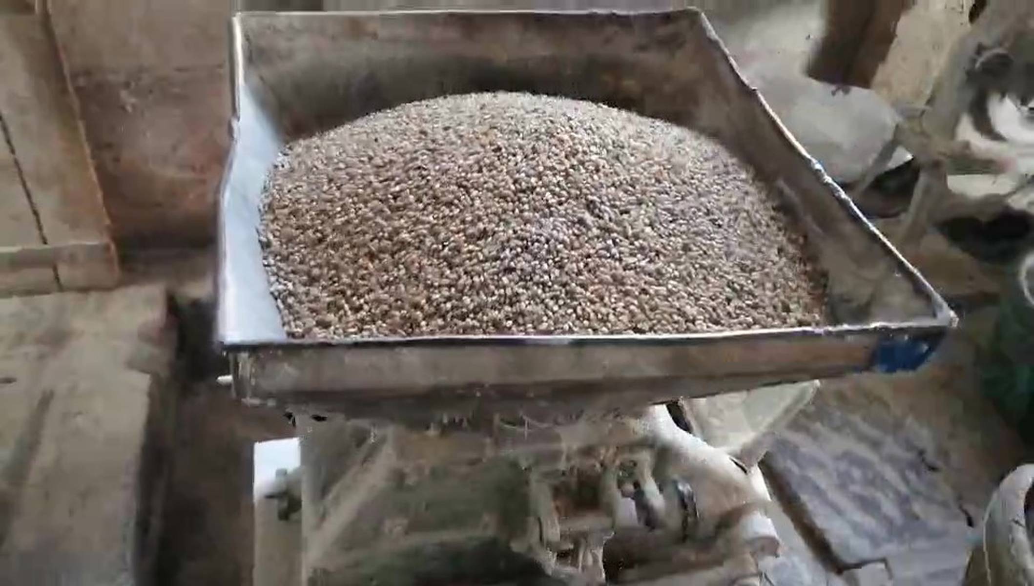 春日暖阳下的等待 粮食加工坊前的面条长龙