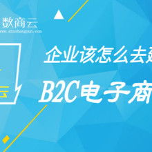电子商务 数字时代的商业革命