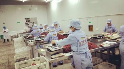 白马情天池美——电商发展新篇章 左占高局长率团考察西域美农公司