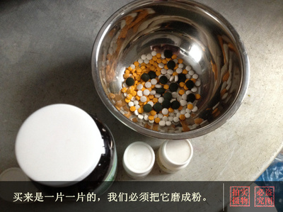 自制纯天然猫粮 从家庭厨房到正规化生产的爱宠之选