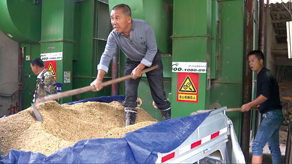 微网格长出手，破解“晒粮难”助力粮食加工